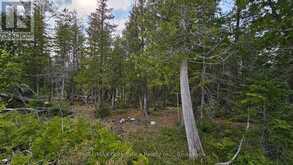 LT 254 DORCAS BAY ROAD | Tobermory Ontario | Slide Image Four