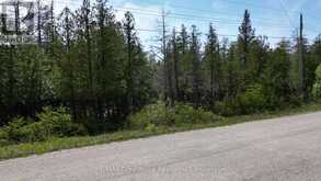 LT 254 DORCAS BAY ROAD | Tobermory Ontario | Slide Image Five