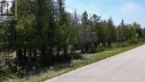 LT 254 DORCAS BAY ROAD | Tobermory Ontario | Slide Image Six