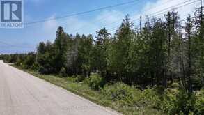 LT 254 DORCAS BAY ROAD | Tobermory Ontario | Slide Image Seven