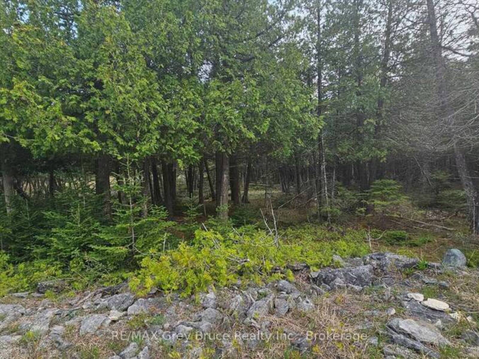 LT 254 DORCAS BAY ROAD, Tobermory, Ontario N0H 2R0