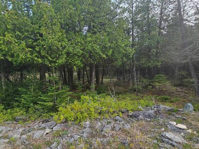 LT 254 DORCAS BAY ROAD Tobermory Ontario, N0H 2R0 - Vacant Land For Sale