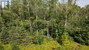 127 MAPLE DRIVE | Miller Lake Ontario | Slide Image Two