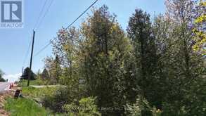 PT LT 30 CON 5 EBR PT 4 ISTHMUS BAY ROAD | Lion's Head Ontario | Slide Image Sixteen