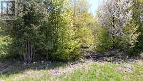 PT LT 30 CON 5 EBR PT 4 ISTHMUS BAY ROAD | Lion's Head Ontario | Slide Image Twenty-one