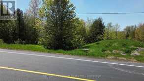 PT LT 30 CON 5 EBR PT 4 ISTHMUS BAY ROAD | Lion's Head Ontario | Slide Image Three