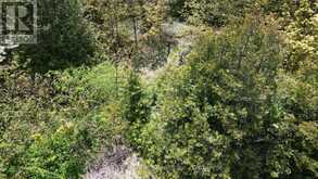 PT LT 30 CON 5 EBR PT 4 ISTHMUS BAY ROAD | Lion's Head Ontario | Slide Image Nine