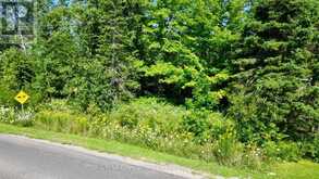 PART 28 MAPLE DRIVE | Miller Lake Ontario | Slide Image Eighteen