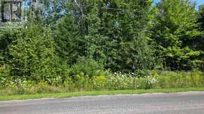 PART 28 MAPLE DRIVE | Miller Lake Ontario | Slide Image Nineteen