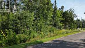 PART 28 MAPLE DRIVE | Miller Lake Ontario | Slide Image Twenty