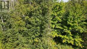 PART 28 MAPLE DRIVE | Miller Lake Ontario | Slide Image Six