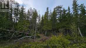LT 255 PEDWELL PT. DRIVE | Tobermory Ontario | Slide Image Ten