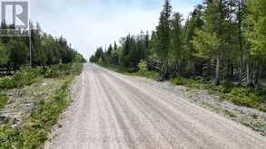 LT 255 PEDWELL PT. DRIVE | Tobermory Ontario | Slide Image Fifteen