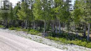 LT 255 PEDWELL PT. DRIVE | Tobermory Ontario | Slide Image Sixteen