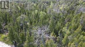 LT 255 PEDWELL PT. DRIVE | Tobermory Ontario | Slide Image Seventeen