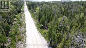 LT 255 PEDWELL PT. DRIVE | Tobermory Ontario | Slide Image Nineteen