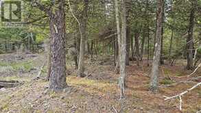 LT 255 PEDWELL PT. DRIVE | Tobermory Ontario | Slide Image One