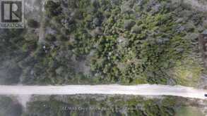 LT 255 PEDWELL PT. DRIVE | Tobermory Ontario | Slide Image Twenty-five