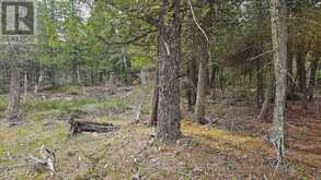 LT 255 PEDWELL PT. DRIVE | Tobermory Ontario | Slide Image Two
