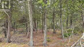 LT 255 PEDWELL PT. DRIVE | Tobermory Ontario | Slide Image Three