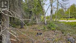 LT 255 PEDWELL PT. DRIVE | Tobermory Ontario | Slide Image Four