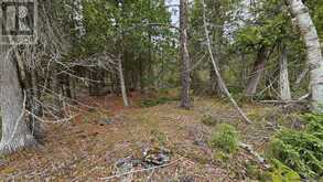 LT 255 PEDWELL PT. DRIVE | Tobermory Ontario | Slide Image Six