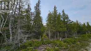 LT 255 PEDWELL PT. DRIVE | Tobermory Ontario | Slide Image Seven