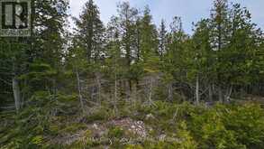 LT 255 PEDWELL PT. DRIVE | Tobermory Ontario | Slide Image Nine