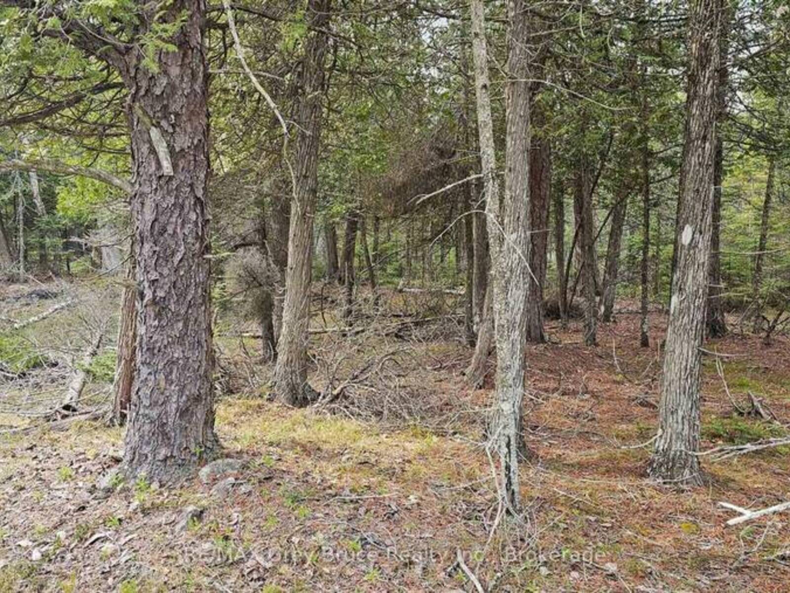LT 255 PEDWELL PT. DRIVE, Tobermory, Ontario N0H 2R0