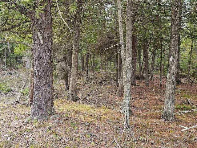 LT 255 PEDWELL PT. DRIVE Tobermory Ontario, N0H 2R0 - Vacant Land For Sale
