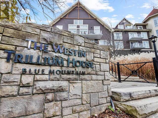 313 - 220 GORD CANNING DRIVE The Blue Mountains Ontario, L9Y 0V2 - Condo For Sale