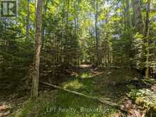 590-608 HURON ROAD | Georgian Bluffs Ontario | Slide Image Thirty-eight