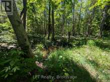 590-608 HURON ROAD | Georgian Bluffs Ontario | Slide Image Thirty-six