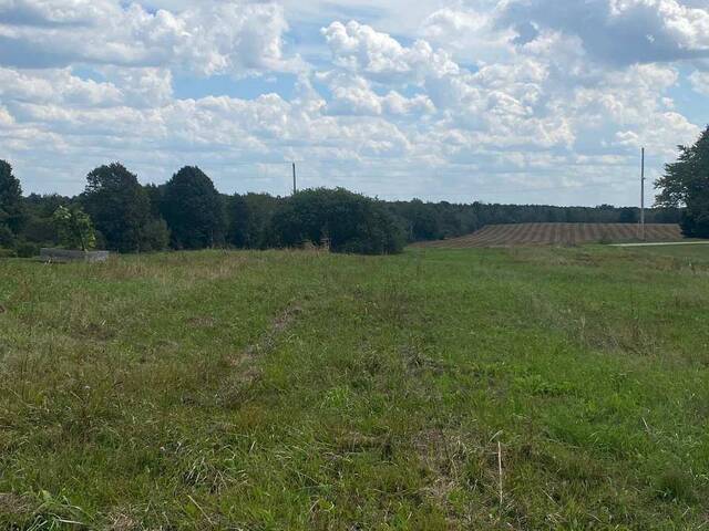 35 NELSON STREET W Minto Ontario, N0G 1M0 - Vacant Land For Sale