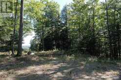 6 - 22 GRYFFIN BLUFFS LANE | Huntsville Ontario | Slide Image Ten