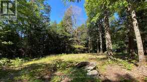 6 - 22 GRYFFIN BLUFFS LANE | Huntsville Ontario | Slide Image Twelve