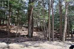 6 - 22 GRYFFIN BLUFFS LANE | Huntsville Ontario | Slide Image Nineteen