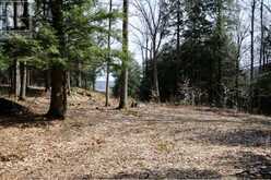 6 - 22 GRYFFIN BLUFFS LANE | Huntsville Ontario | Slide Image One