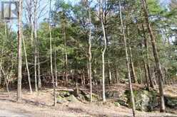 6 - 22 GRYFFIN BLUFFS LANE | Huntsville Ontario | Slide Image Twenty-one