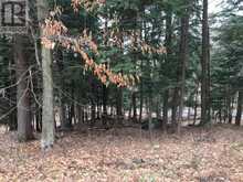6 - 22 GRYFFIN BLUFFS LANE | Huntsville Ontario | Slide Image Twenty-two