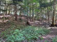 6 - 22 GRYFFIN BLUFFS LANE | Huntsville Ontario | Slide Image Twenty-three