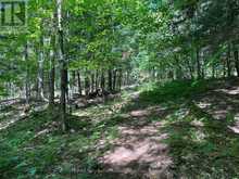 6 - 22 GRYFFIN BLUFFS LANE | Huntsville Ontario | Slide Image Twenty-four