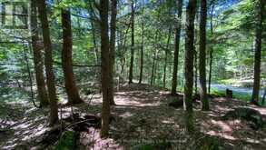6 - 22 GRYFFIN BLUFFS LANE | Huntsville Ontario | Slide Image Twenty-five