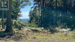 6 - 22 GRYFFIN BLUFFS LANE | Huntsville Ontario | Slide Image Twenty-six