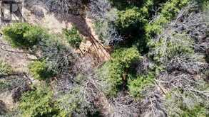 6 - 22 GRYFFIN BLUFFS LANE | Huntsville Ontario | Slide Image Twenty-nine