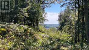 6 - 22 GRYFFIN BLUFFS LANE | Huntsville Ontario | Slide Image Three