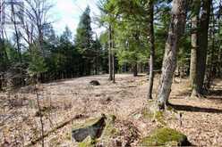 6 - 22 GRYFFIN BLUFFS LANE | Huntsville Ontario | Slide Image Eight