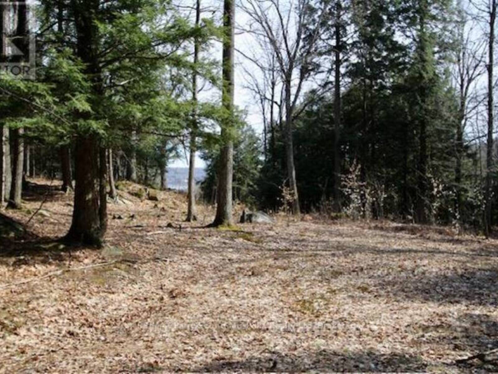 6 - 22 GRYFFIN BLUFFS LANE, Huntsville, Ontario P0B 1M0