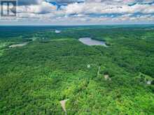 0 MILL LAKE TRAIL | McDougall Ontario | Slide Image Eleven