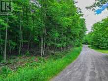 0 MILL LAKE TRAIL | McDougall Ontario | Slide Image Fourteen